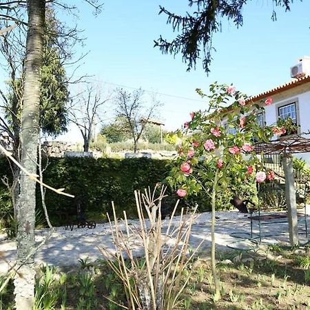 Quinta De Vila Verde- Paixao Ancestral, Turismo Rural Marco de Canavezes Eksteriør billede